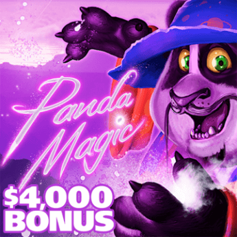Panda Magic
