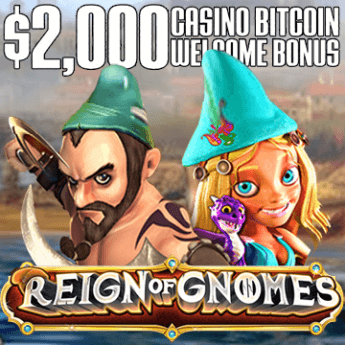 Reign of Gnomes
