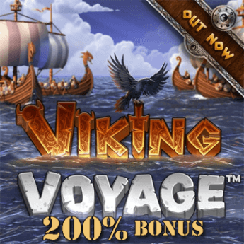 Viking Voyage