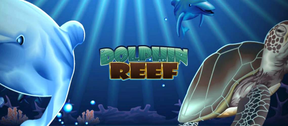 Dolphin Reef