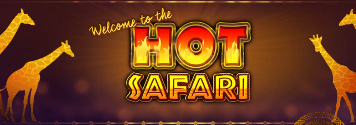 Hot Safari