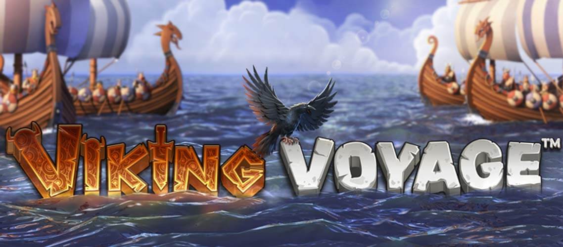 Viking Voyage