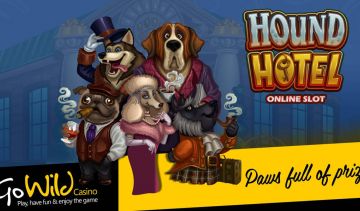 Hound Hotel free spins round comes with up to 2933 times your line bet